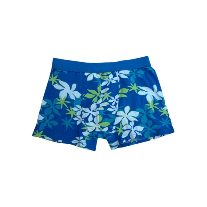 Mens BoxersMen Boxers in Polestar GarmentMens Boxer Brief Underwear